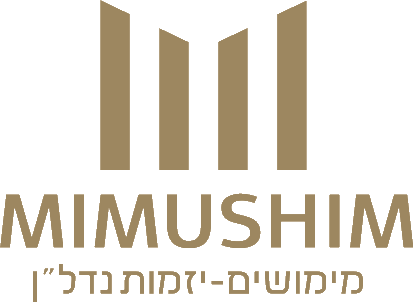 מימושים